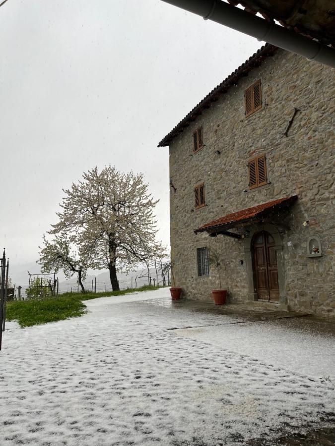 Casa VACANZE ROLANDO Castiglione di Garfagnana Exterior foto