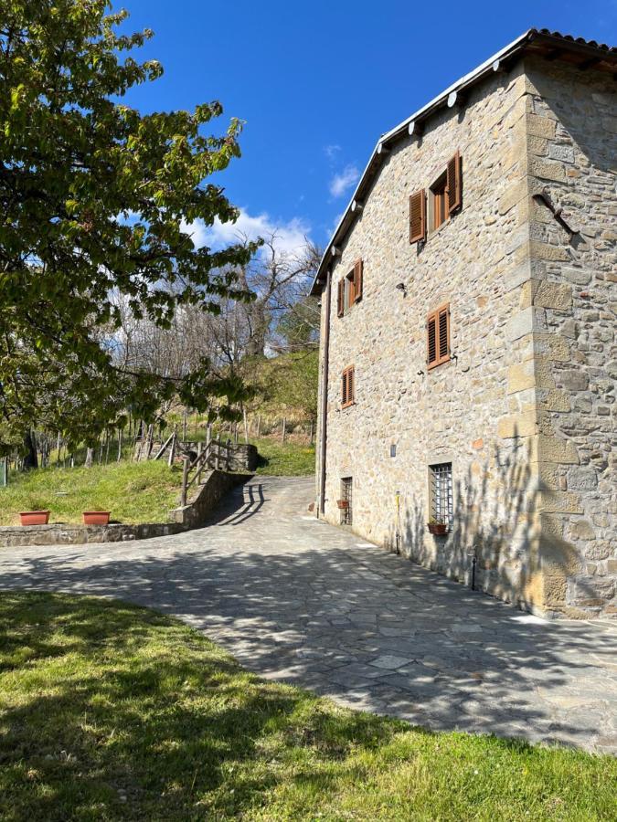 Casa VACANZE ROLANDO Castiglione di Garfagnana Exterior foto